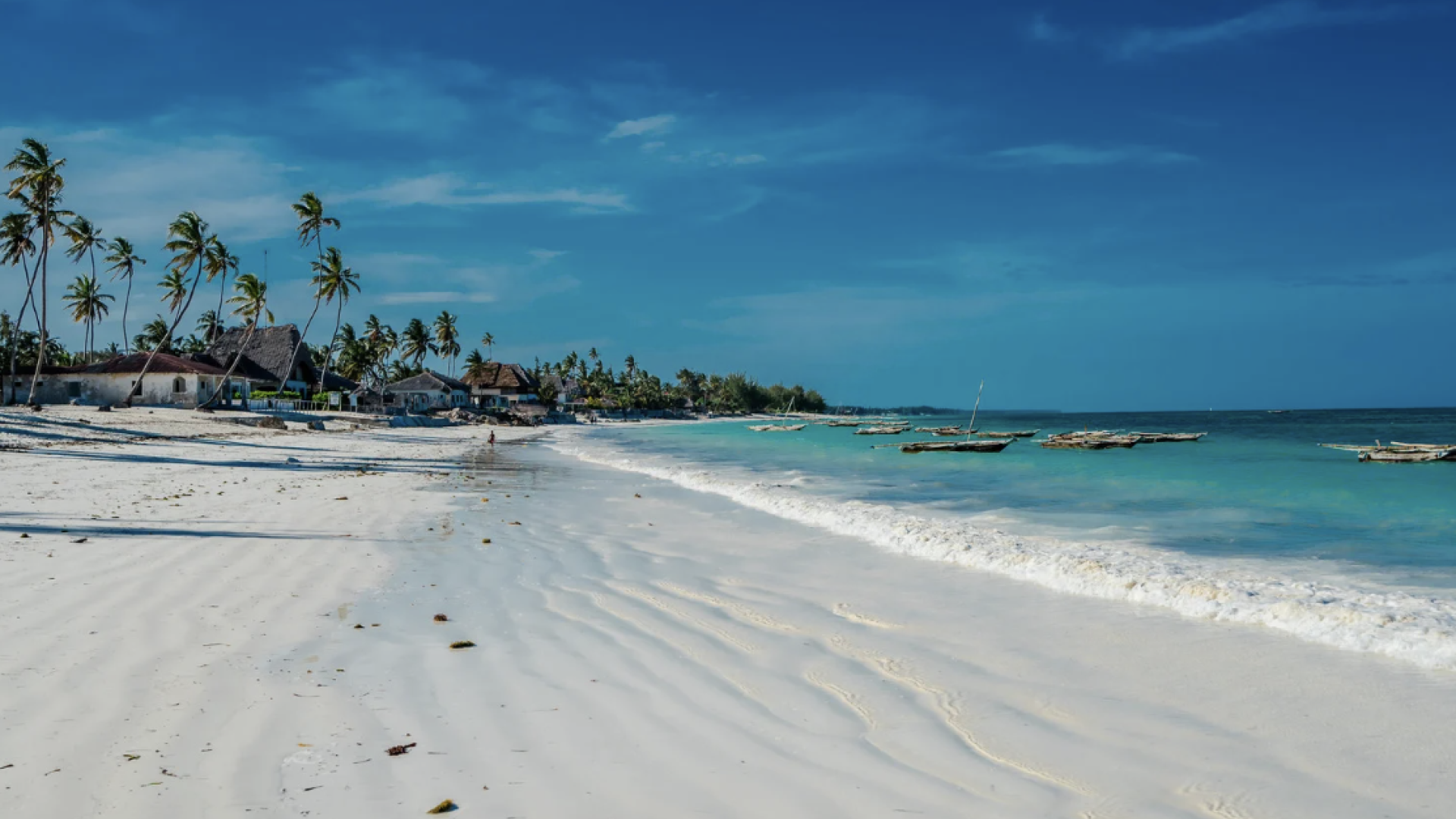 Zanzibar, o Encanto do &Iacute;ndico